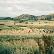Harvest - galeria zdjęć - filmweb