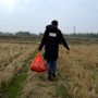 Młodość (Powrót do domu) - galeria zdjęć