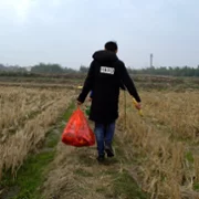Qing chun gui - galeria zdjęć - filmweb