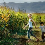 Almanya - galeria zdjęć - filmweb