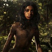 Mowgli: Legenda dżungli - galeria zdjęć - filmweb