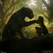 Mowgli: Legenda dżungli - galeria zdjęć - filmweb