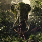 Mowgli: Legenda dżungli - galeria zdjęć - filmweb