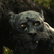 Mowgli: Legenda dżungli - galeria zdjęć - filmweb