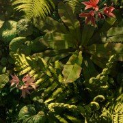 Mowgli: Legend Of The Jungle - galeria zdjęć - filmweb