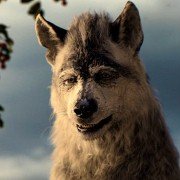 Mowgli: Legend Of The Jungle - galeria zdjęć - filmweb