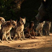 Mowgli: Legend Of The Jungle - galeria zdjęć - filmweb