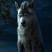Mowgli: Legend Of The Jungle - galeria zdjęć - filmweb