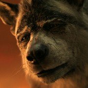 Mowgli: Legend Of The Jungle - galeria zdjęć - filmweb