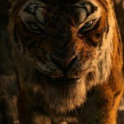 Mowgli: Legenda dżungli - galeria zdjęć - filmweb