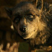 Mowgli: Legend Of The Jungle - galeria zdjęć - filmweb
