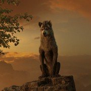 Mowgli: Legend Of The Jungle - galeria zdjęć - filmweb