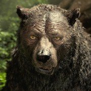 Mowgli: Legend Of The Jungle - galeria zdjęć - filmweb