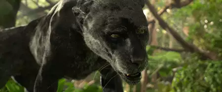 Mowgli: Legenda dżungli - galeria zdjęć - filmweb
