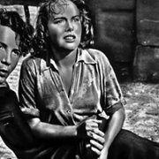 Człowiek na linie - galeria zdjęć - filmweb