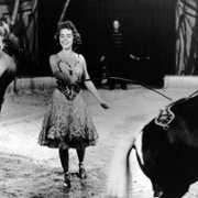 Człowiek na linie - galeria zdjęć - filmweb