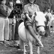 Człowiek na linie - galeria zdjęć - filmweb