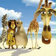 Madagascar - galeria zdjęć - filmweb