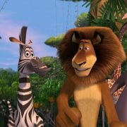 Madagaskar - galeria zdjęć - filmweb