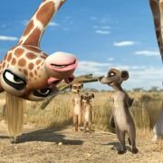 Die Konferenz der Tiere - galeria zdjęć - filmweb
