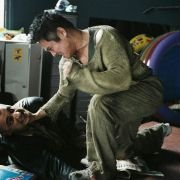 Unleashed - galeria zdjęć - filmweb