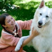 O psie, który jeździł koleją - galeria zdjęć - filmweb