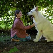 O psie, który jeździł koleją - galeria zdjęć - filmweb