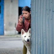 O psie, który jeździł koleją - galeria zdjęć - filmweb