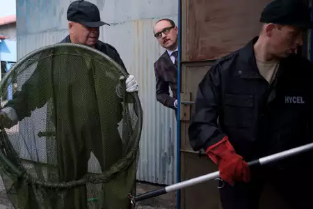 O psie, który jeździł koleją - galeria zdjęć - filmweb