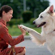 O psie, który jeździł koleją - galeria zdjęć - filmweb