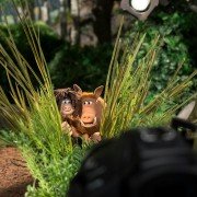Early Man - galeria zdjęć - filmweb