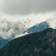 Fiore mio - galeria zdjęć - filmweb