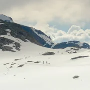 Fiore mio - galeria zdjęć - filmweb