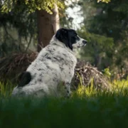 Fiore mio - galeria zdjęć - filmweb