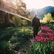 Libres - galeria zdjęć - filmweb
