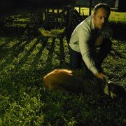 Eyewitness - galeria zdjęć - filmweb