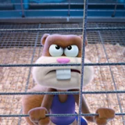 Saving Bikini Bottom: The Sandy Cheeks Movie - galeria zdjęć - filmweb