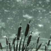 Les triplettes de Belleville - galeria zdjęć - filmweb