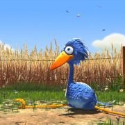 Ptasie sprawki - galeria zdjęć - filmweb