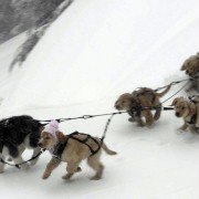 Snow Buddies - galeria zdjęć - filmweb