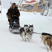 Snow Buddies - galeria zdjęć - filmweb