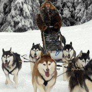 Snow Buddies - galeria zdjęć - filmweb