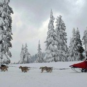 Snow Buddies - galeria zdjęć - filmweb