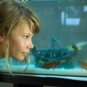 Free Willy: Escape from Pirate's Cove - galeria zdjęć - filmweb
