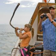 Uwolnić orkę 4: Ucieczka z Zatoki Piratów - galeria zdjęć - filmweb