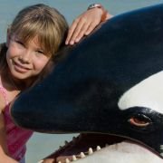 Free Willy: Escape from Pirate's Cove - galeria zdjęć - filmweb