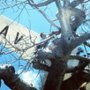 Bogowie muszą być szaleni II - galeria zdjęć