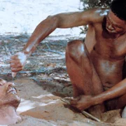 The Gods Must Be Crazy II - galeria zdjęć - filmweb