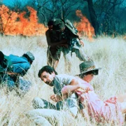 The Gods Must Be Crazy II - galeria zdjęć - filmweb