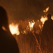 Die Stropers - galeria zdjęć - filmweb